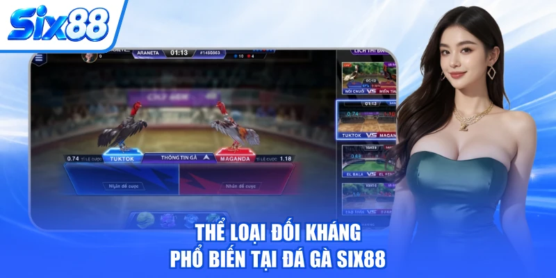 Thể loại đối kháng phổ biến tại Đá gà SIX88