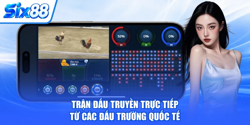Trận đấu truyền trực tiếp từ các đấu trường quốc tế